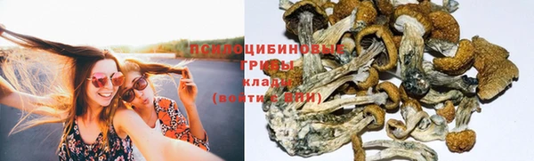 амфетамин Белокуриха