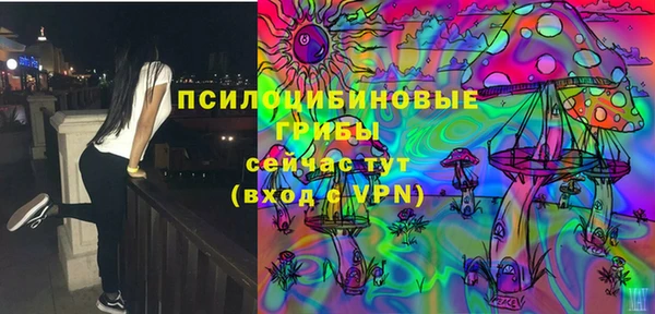 Альфа ПВП Богородицк