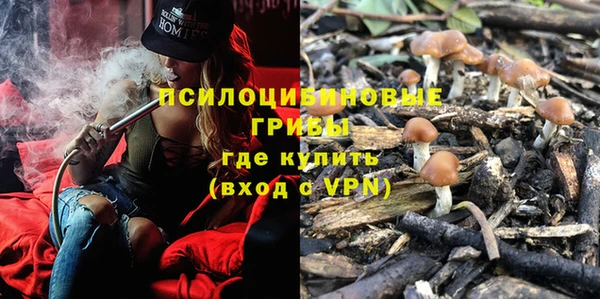 Альфа ПВП Богородицк